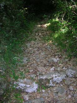 Stone footpath